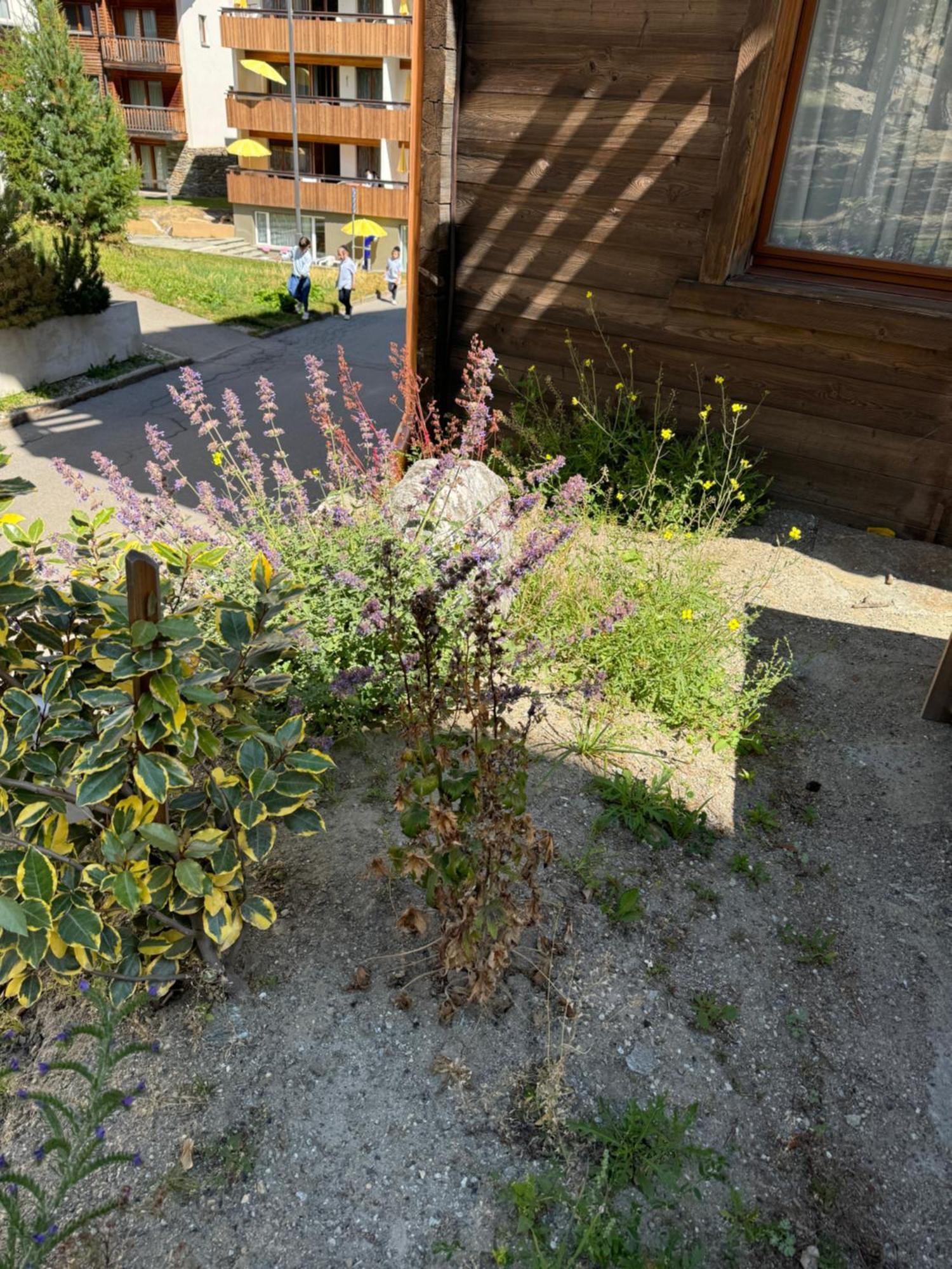 Chalet Tannegg Saas-Fee Exterior foto